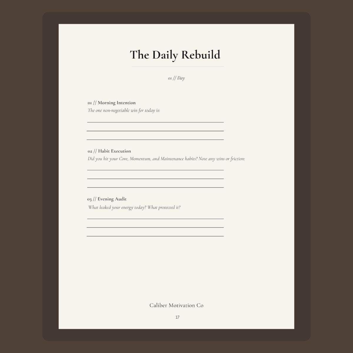 Daily Rebuild worksheet from the 30-Day Discipline Reset Planner featuring AM Morning Standards and PM Evening Audits.