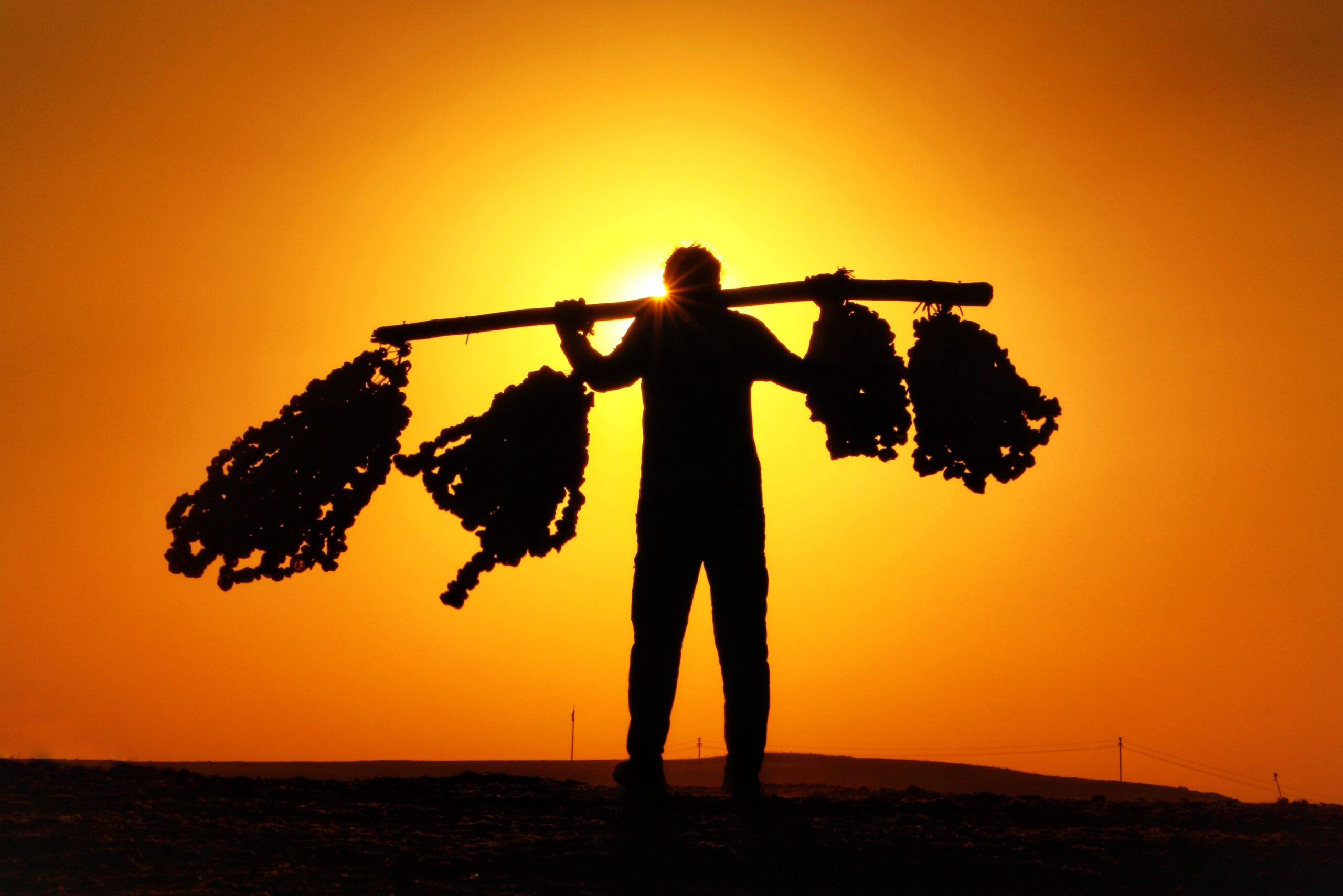Silhouette of a worker carrying a heavy load at sunrise, symbolizing grit, perseverance, and long-term discipline.