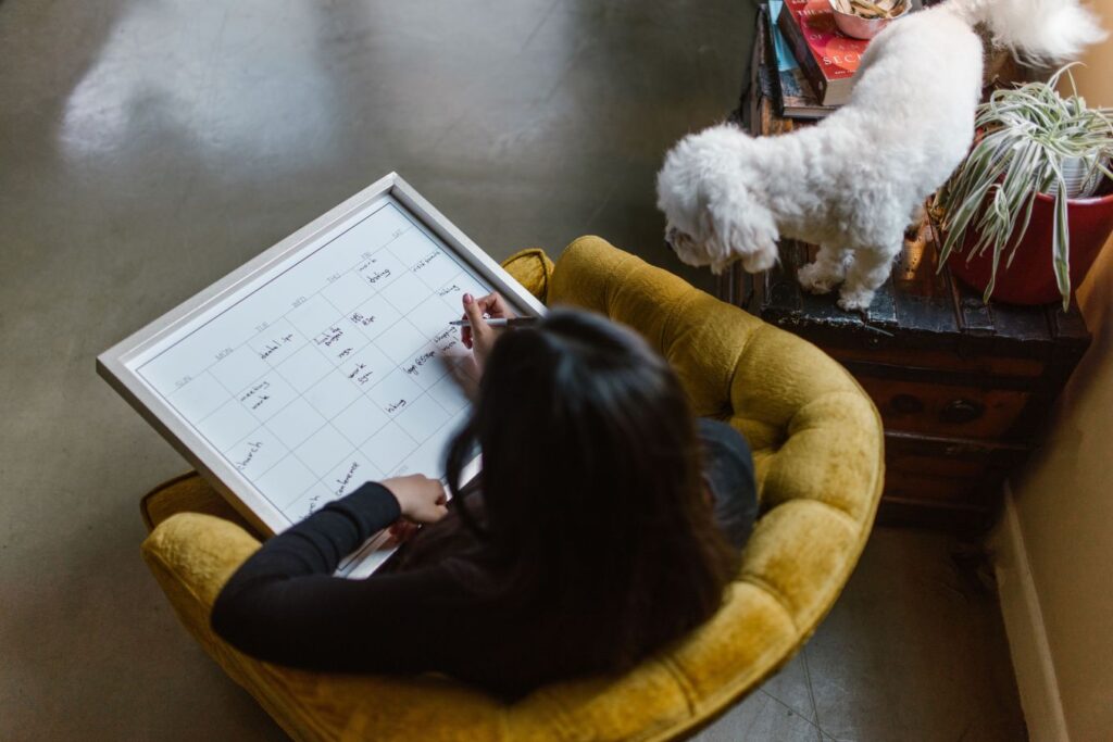 Woman planning her weekly schedule on a large calendar board while sitting in a chair at home with a small white dog nearby.
